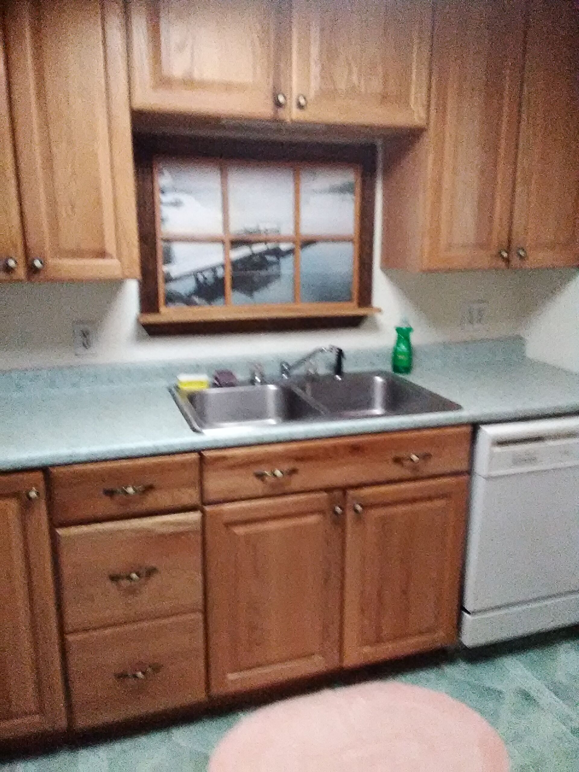 Star gazer no city lights