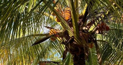 Peaceful La Colina condo near Blue Flag Ocotal Beach, wildlife and quiet