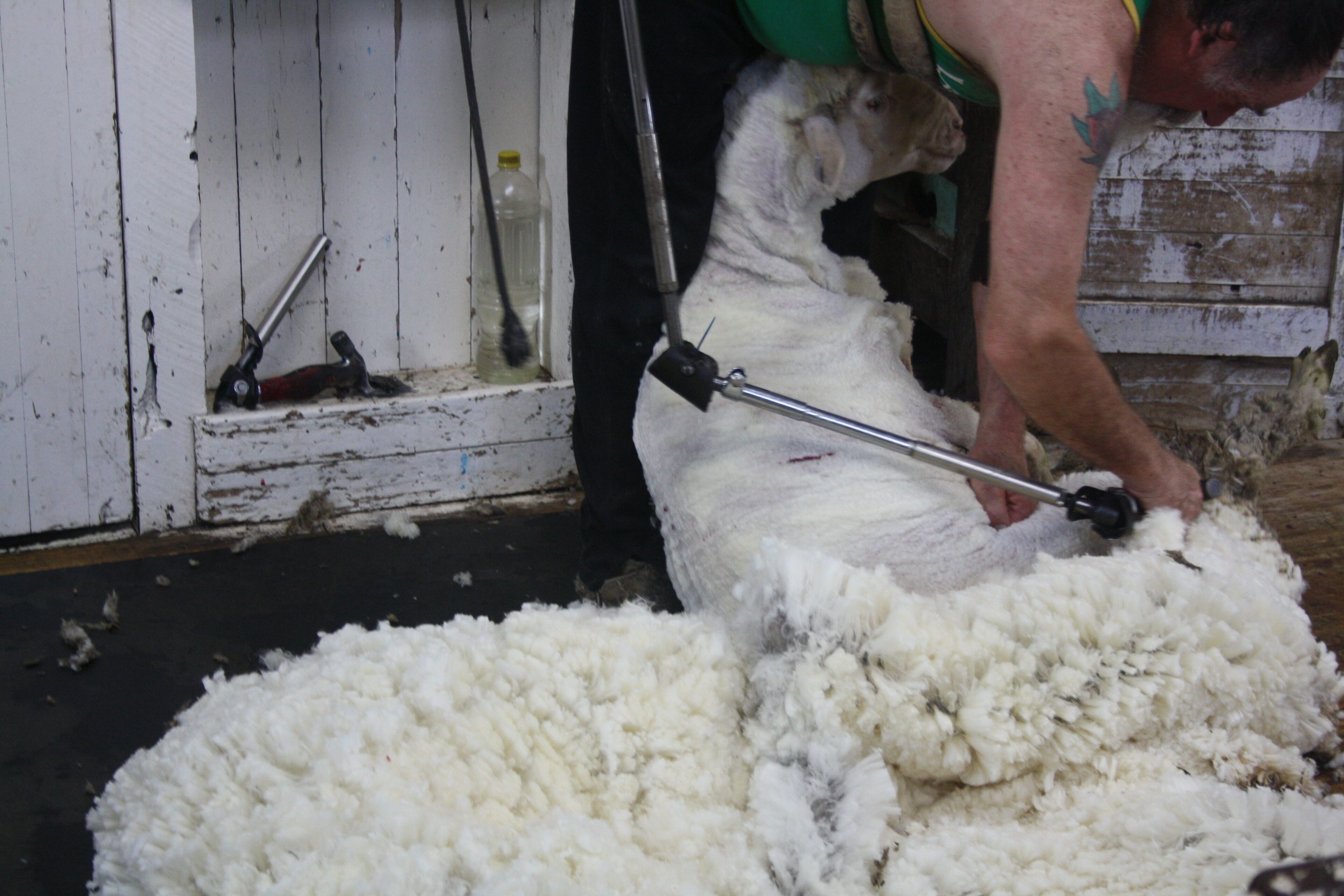Rabbiter's Hut Adelaide Hills — image 6