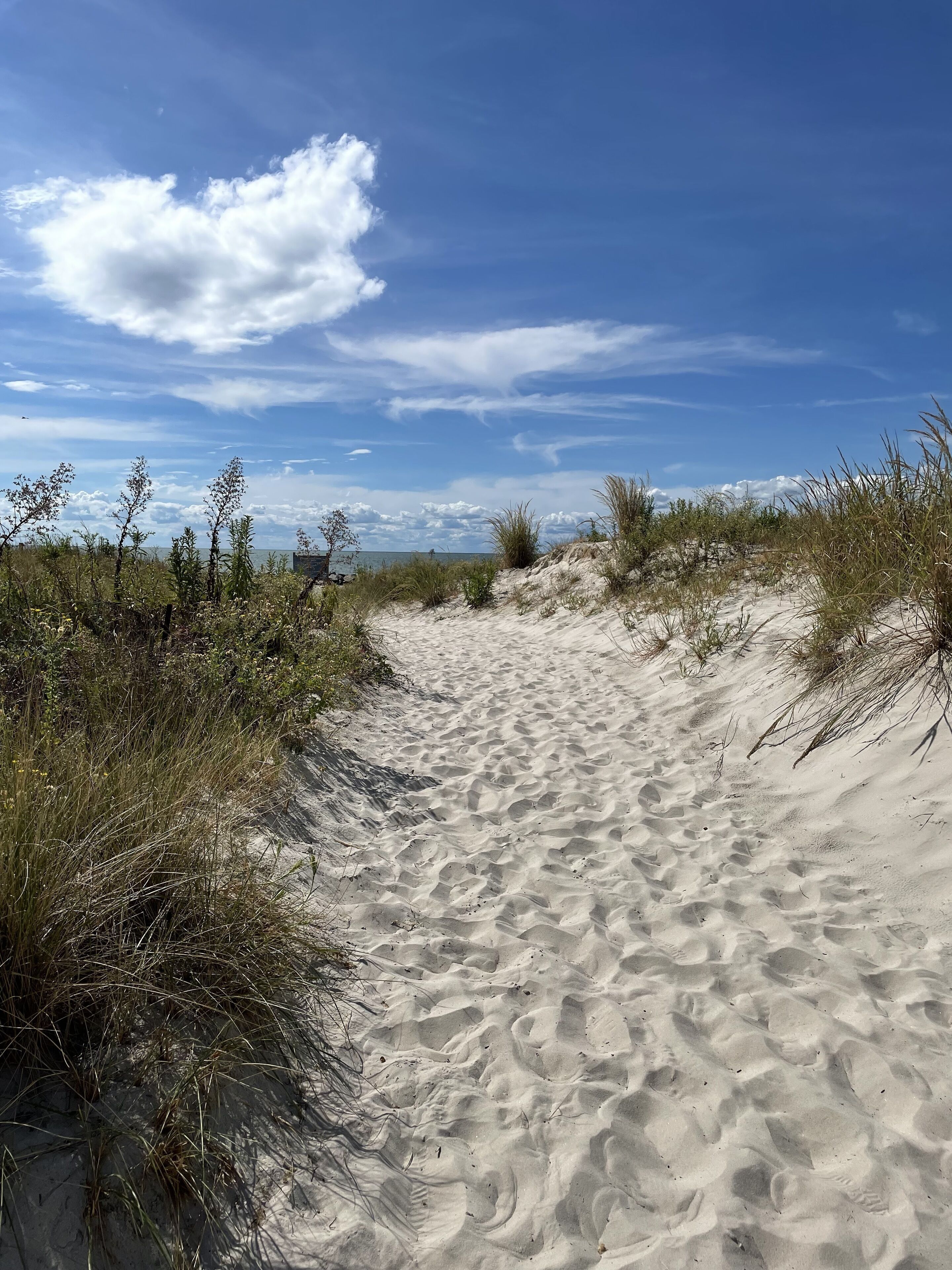 A sandy path leading through a dune area with sparse vegetation.