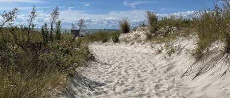 A sandy path leading through a dune area with sparse vegetation.