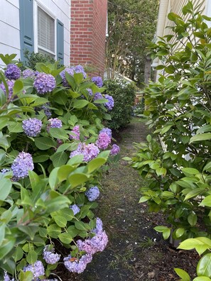 Détail de l’extérieur