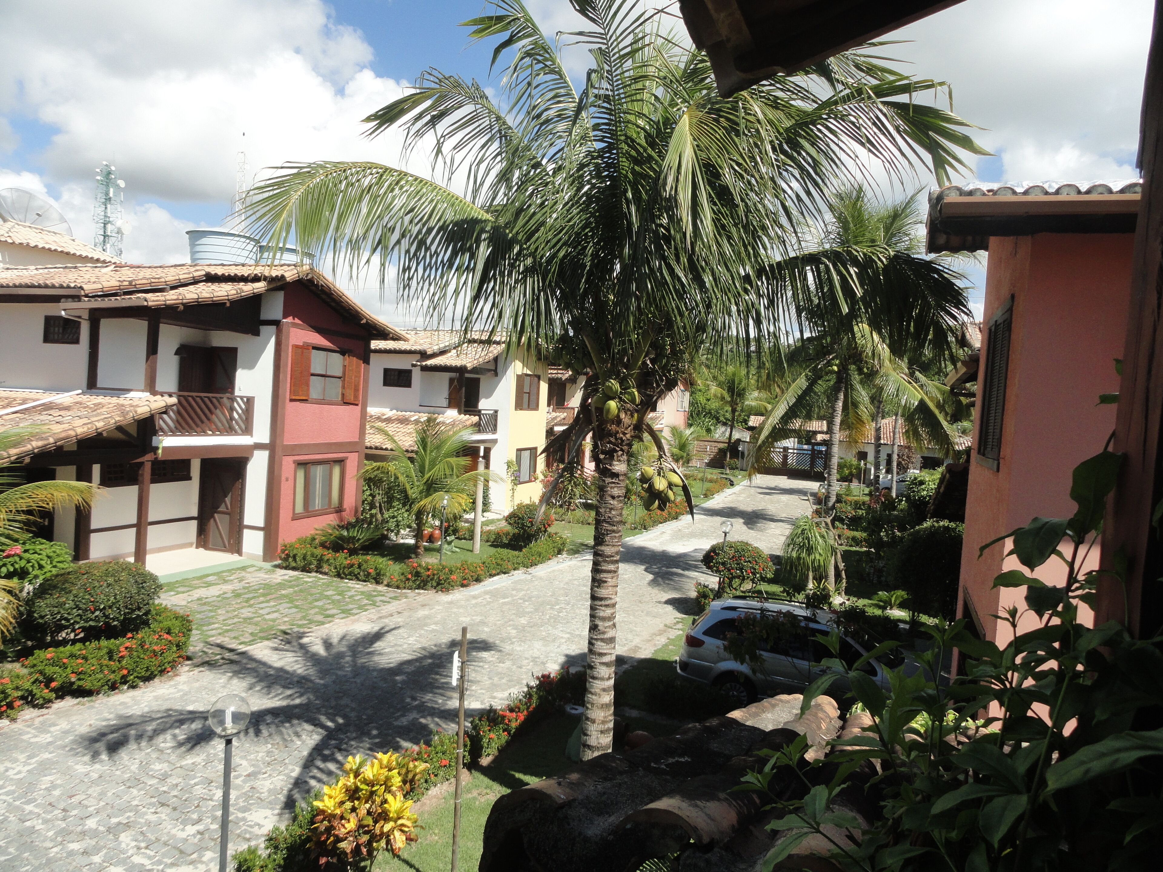 A residential area with houses, a paved pathway, and palm trees.
