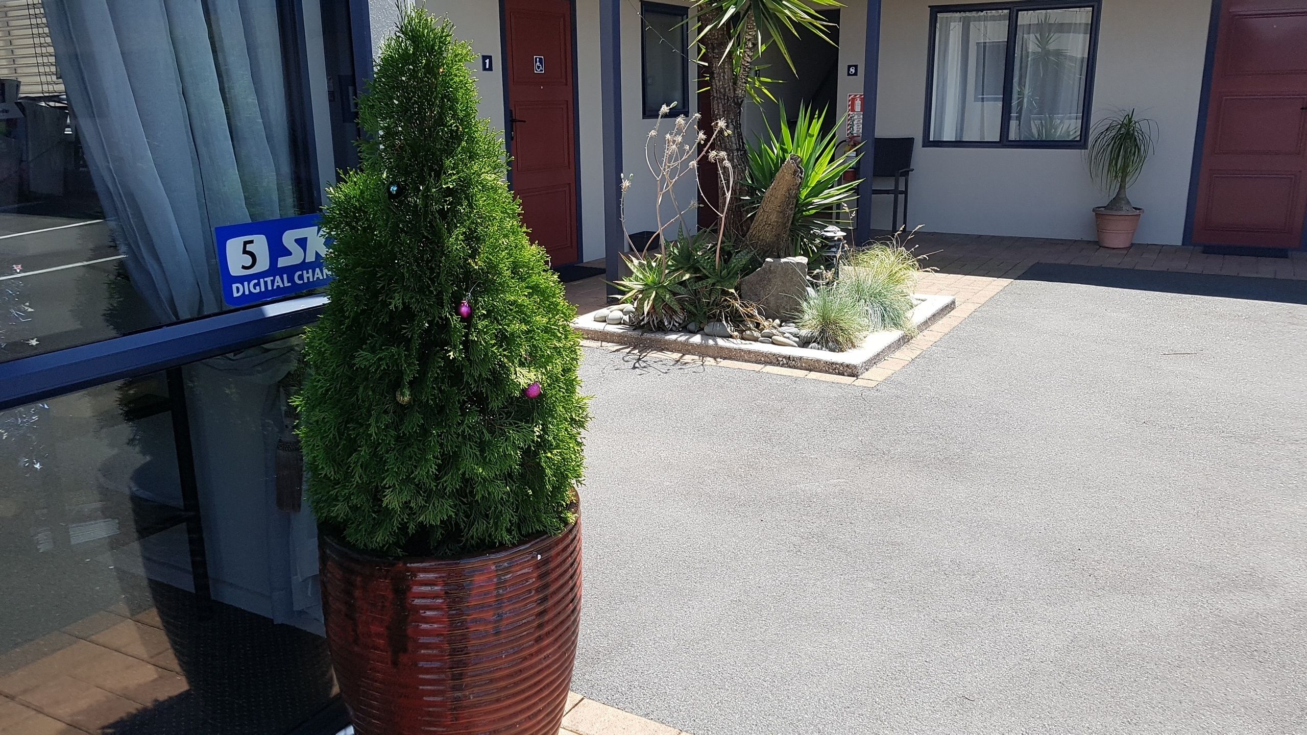 L’entrée d’un immeuble, avec une enseigne indiquant une clinique dentaire, un arbre en pot et un petit espace jardin agrémenté de rochers et de plantes.