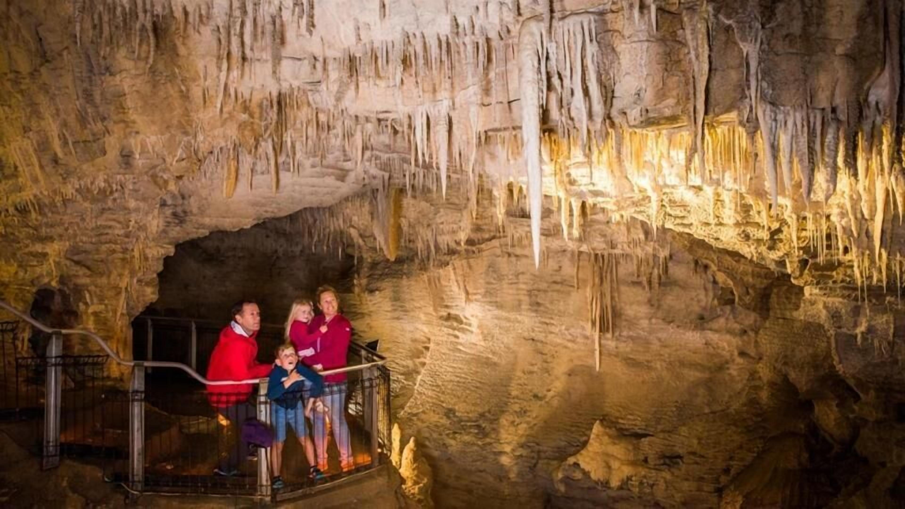 Een grot met stalactieten en -stalagmieten, een metalen hekwerk en een groep mensen die op een platform staan.