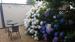 A patio area with a table and chairs, a white wall with a lattice design, and a large hydrangea bush with white and blue flowers. - Palm Court Motel (Otorohanga)