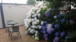 Property grounds - Palm Court Motel (Otorohanga)