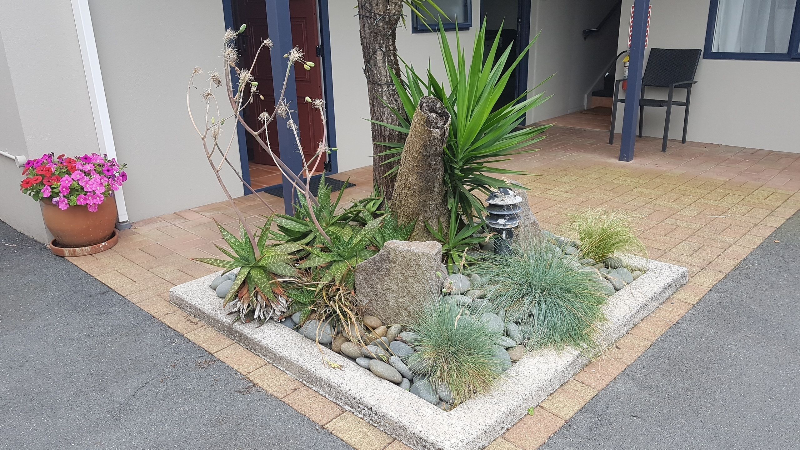A small outdoor garden area with various plants, a tree, and a stone lantern.