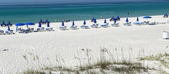 Beach Cottage- Steps to beach, Private pool, one level 3bed 3bath