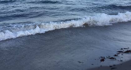 Fun Magical Home On Canal-Relaxing Pool -Spa-Enjoy Fishing-Kayaks-WiFi-Near All