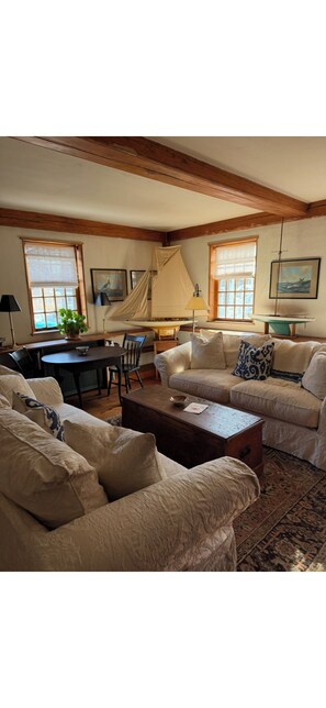 Smart TV, fireplace, DVD player, books