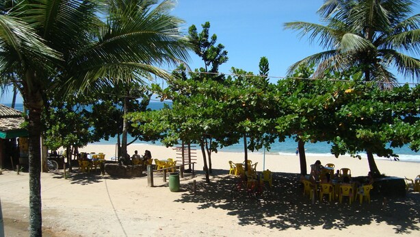A beachside café with outdoor seating, palm trees, and a view of the ocean.