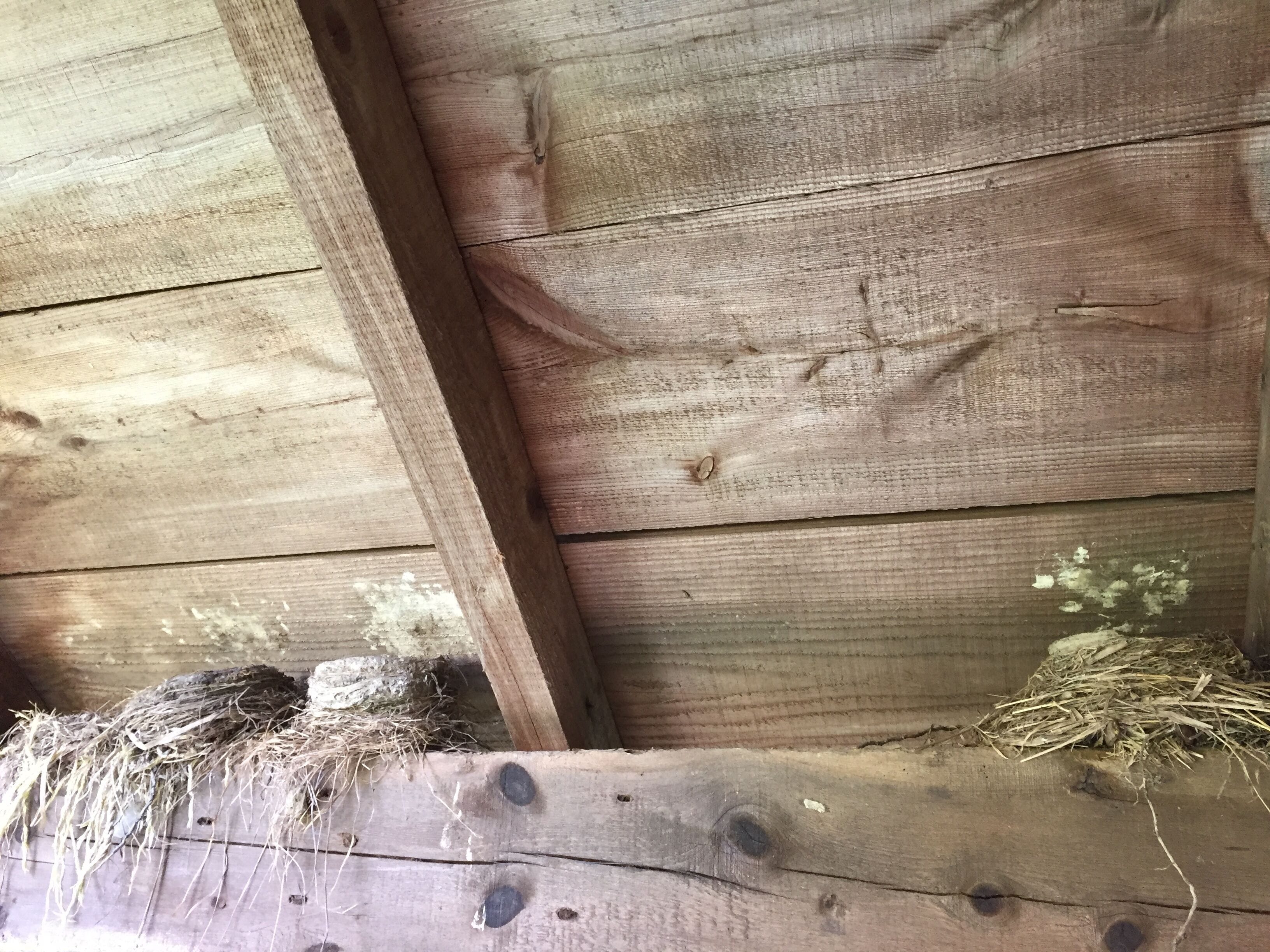 Private Romantic Rustic Cabin - Pet Friendly!