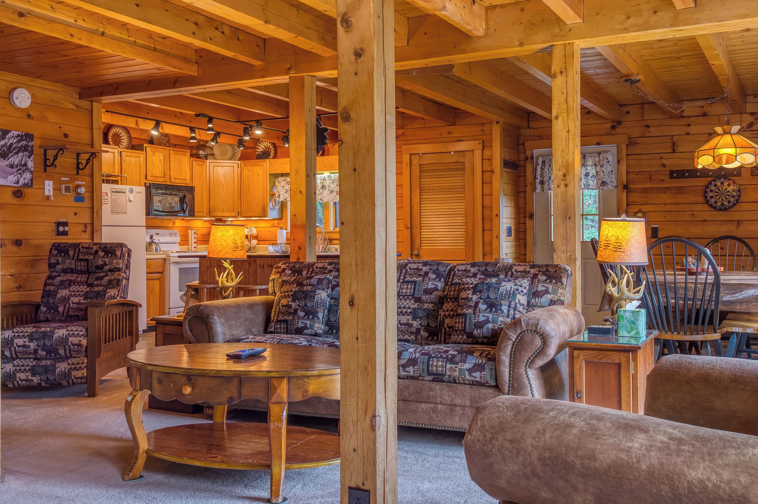 智能電視、壁爐、DVD 播放機、書籍