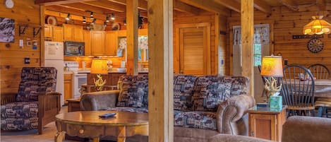 TV connectée, cheminée, lecteur de DVD, livres