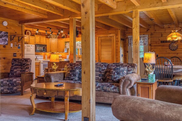 智能電視、壁爐、DVD 播放機、書籍