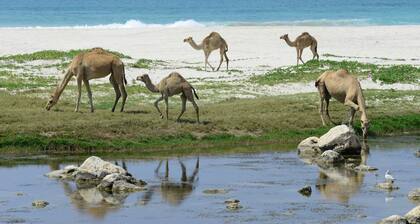 Yksityinen Luxury Resort & Spa - yksityiset huvilat uima-altaalla