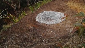 BBQ/picnic Area - Cabaña el Nuevo Amanecer (Medellín)