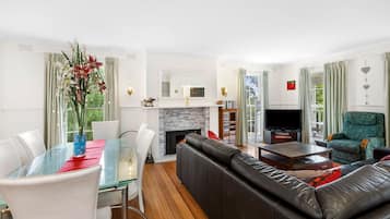 Televisio, takka, DVD-soitin, musiikkikirjasto