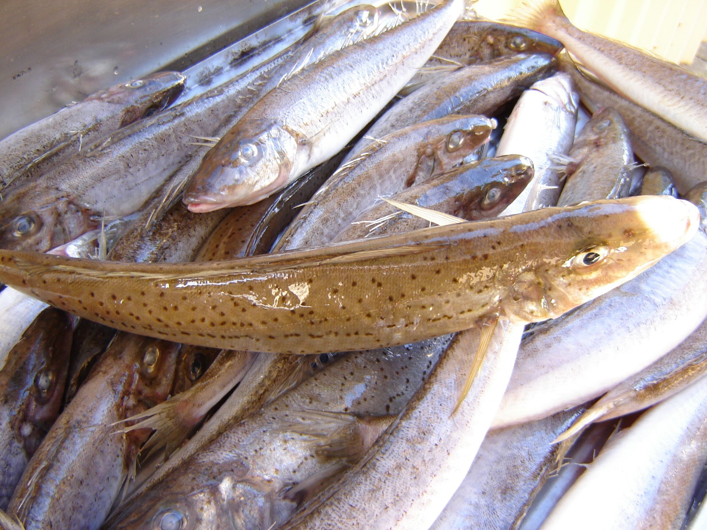 Stansbury Villas Home Relax and Enjoy — image 17