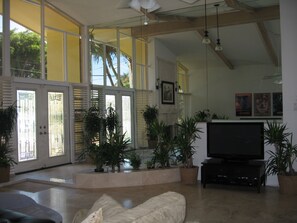 Télévision, lecteur de DVD, livres, chaîne hi-fi