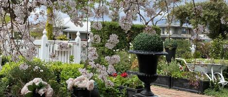 Jardines del alojamiento