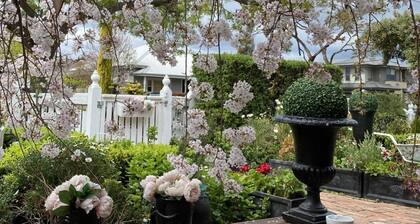 NEWPORT COTTAGE is a 5 star⭐️⭐️⭐️⭐️⭐️ Wifi. Parking no permits. Pet stays welcome