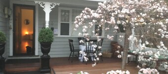 NEWPORT COTTAGE is a 5 star⭐️⭐️⭐️⭐️⭐️ Wifi. Parking no permits. Pet stays welcome