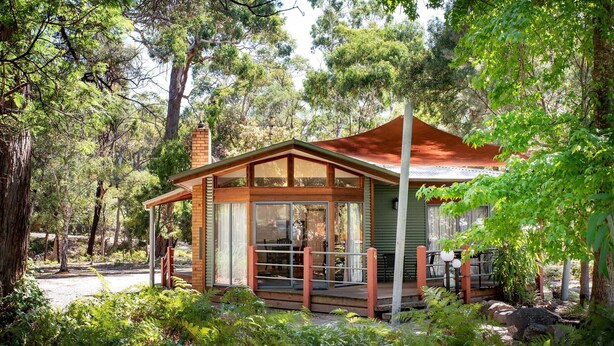 A wooden cabin with a glass front, surrounded by dense greenery and trees. - "School House Villa" hosted by Halls Gap Accommodation (Halls Gap)