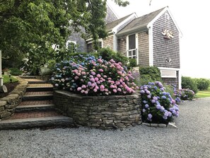 A house with a stone staircase leading to a front door, surrounded by a gravel driveway and a garden with hydrangea bushes.