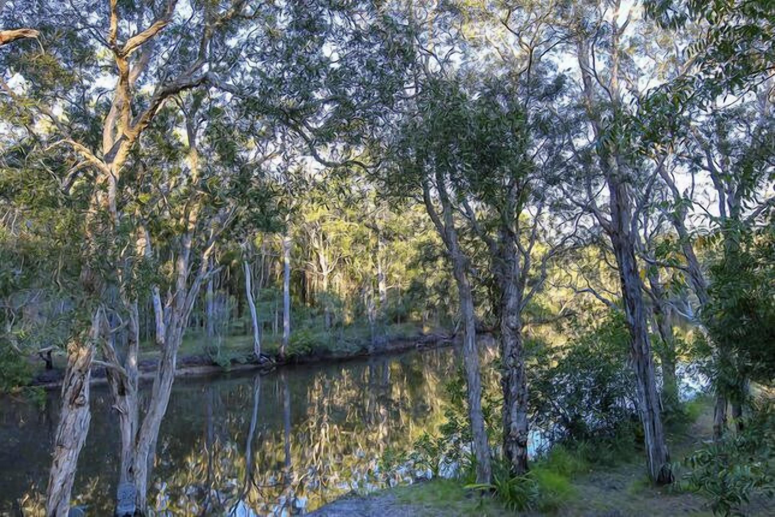 A natural landscape with trees and a body of water.