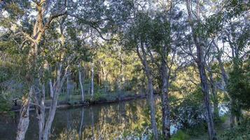A natural landscape with trees and a body of water.