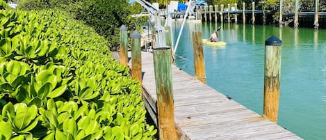 A wooden dock extending into a body of water, surrounded by lush green foliage.