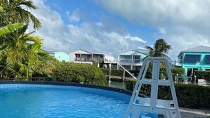 Une piscine avec un escalier blanc, entourée d’une végétation luxuriante et sous un ciel bleu clair.