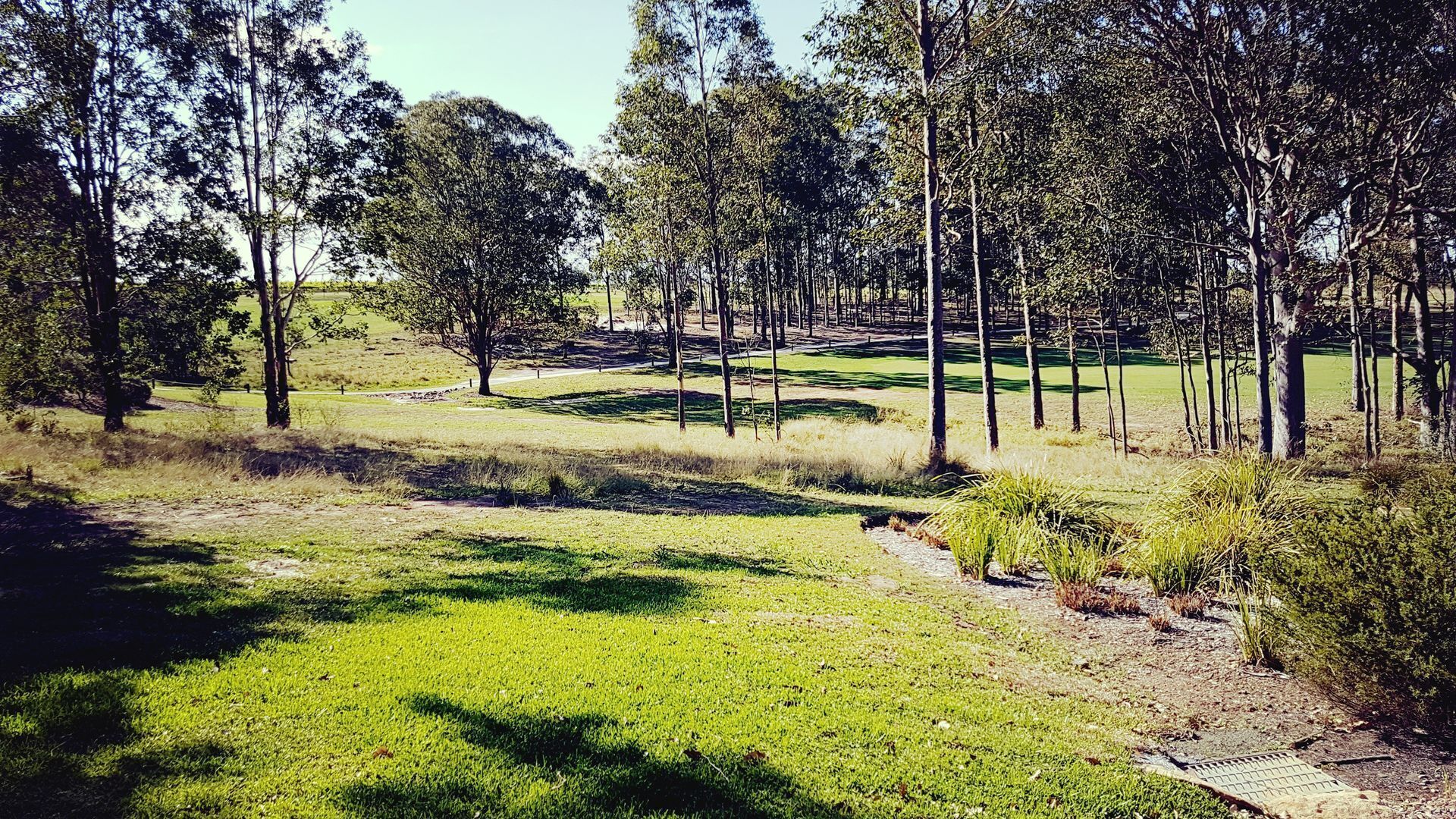 The Grey House - Heart of the Hunter — image 13