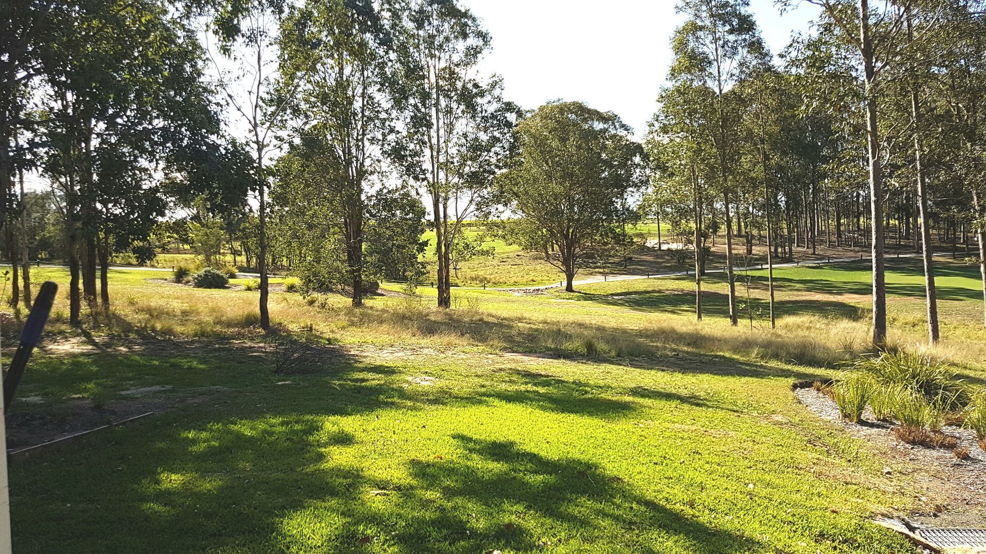 The Grey House - Heart of the Hunter — image 12