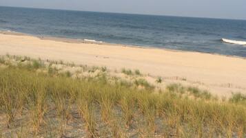 Ligstoelen aan het strand