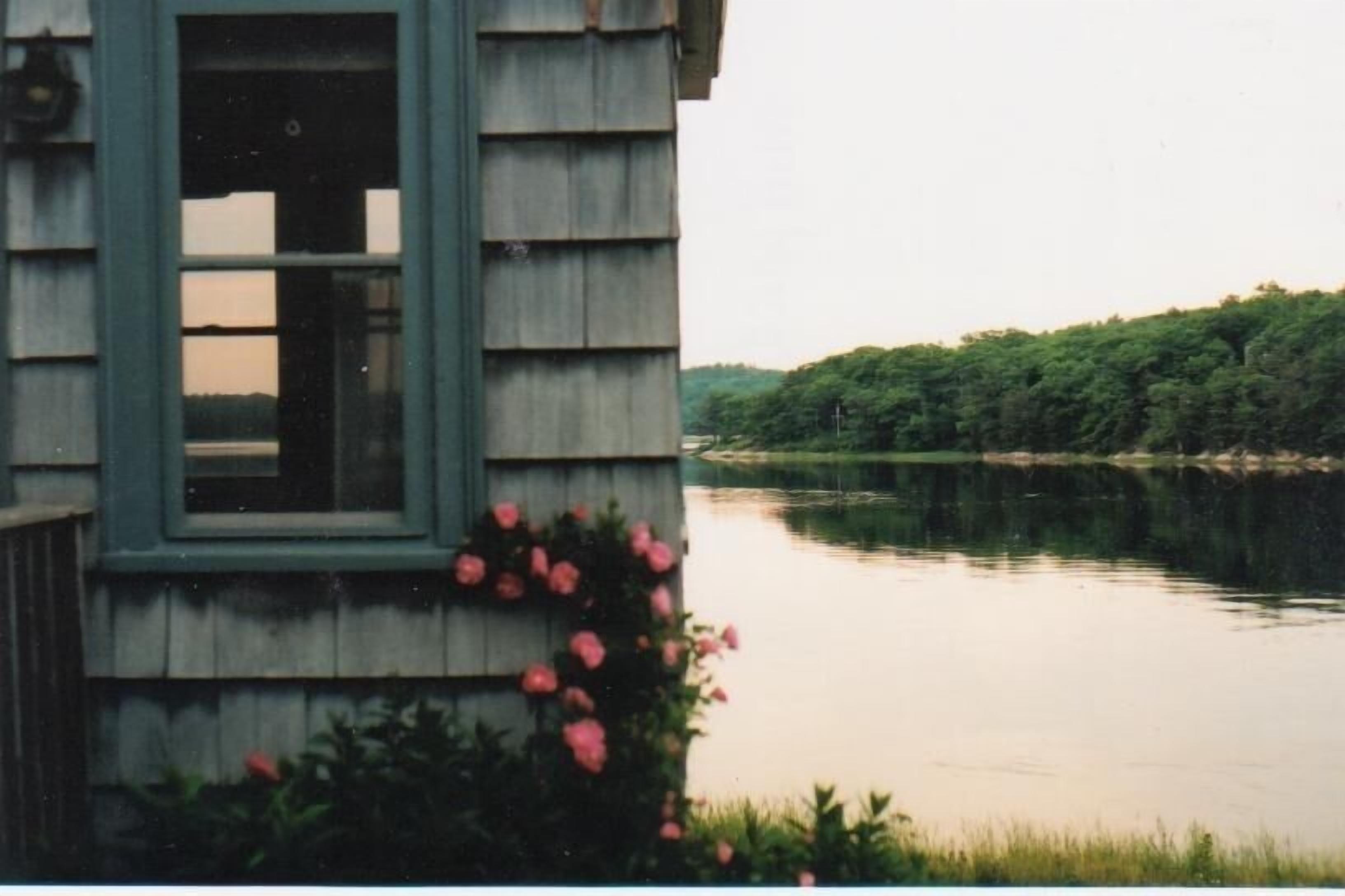  Millpond, Quiet, near  Beach, fireplace,  bird watching w. bird feeder, library