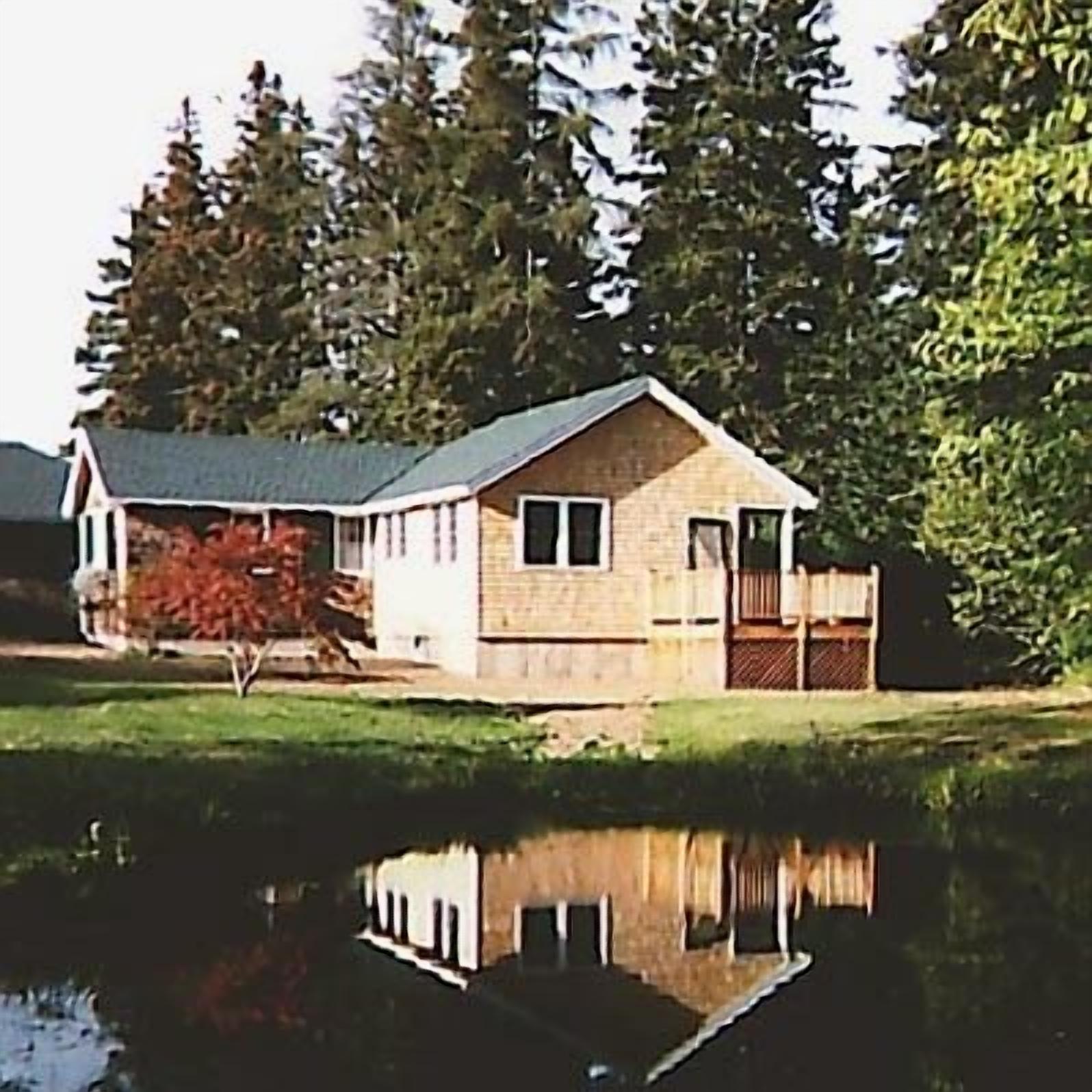 Summer Cottage on MDI nestled in woods