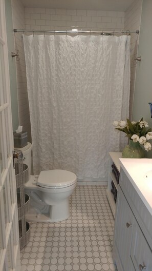 Ensemble douche/baignoire, sèche-cheveux, serviettes fournies, savon