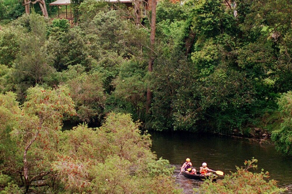 Water Gums Retreat, Barrington River