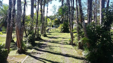 Property grounds. BARRETINHO'S FARM. PURE LEISURE!! A MIX OF BEACH AND COUNTRY LIFE, LOTS OF FUN.
