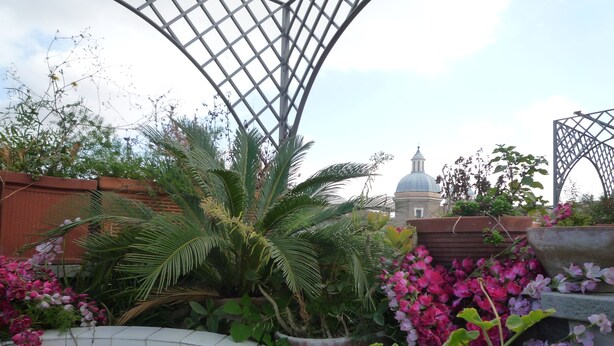 A garden with various plants and flowers, a tiled wall with blue designs, and a building with a dome in the background. - luxury penthouse in the heart of Rome with two terrific terraces on the domes (rome)