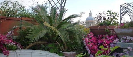 المنطقة المحيطة بالمنشأة