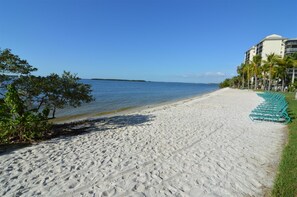 Accommodatie ligt op het strand