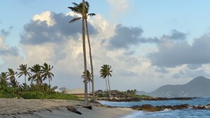 Una playa con palmeras, una costa rocosa y una montaña al fondo.