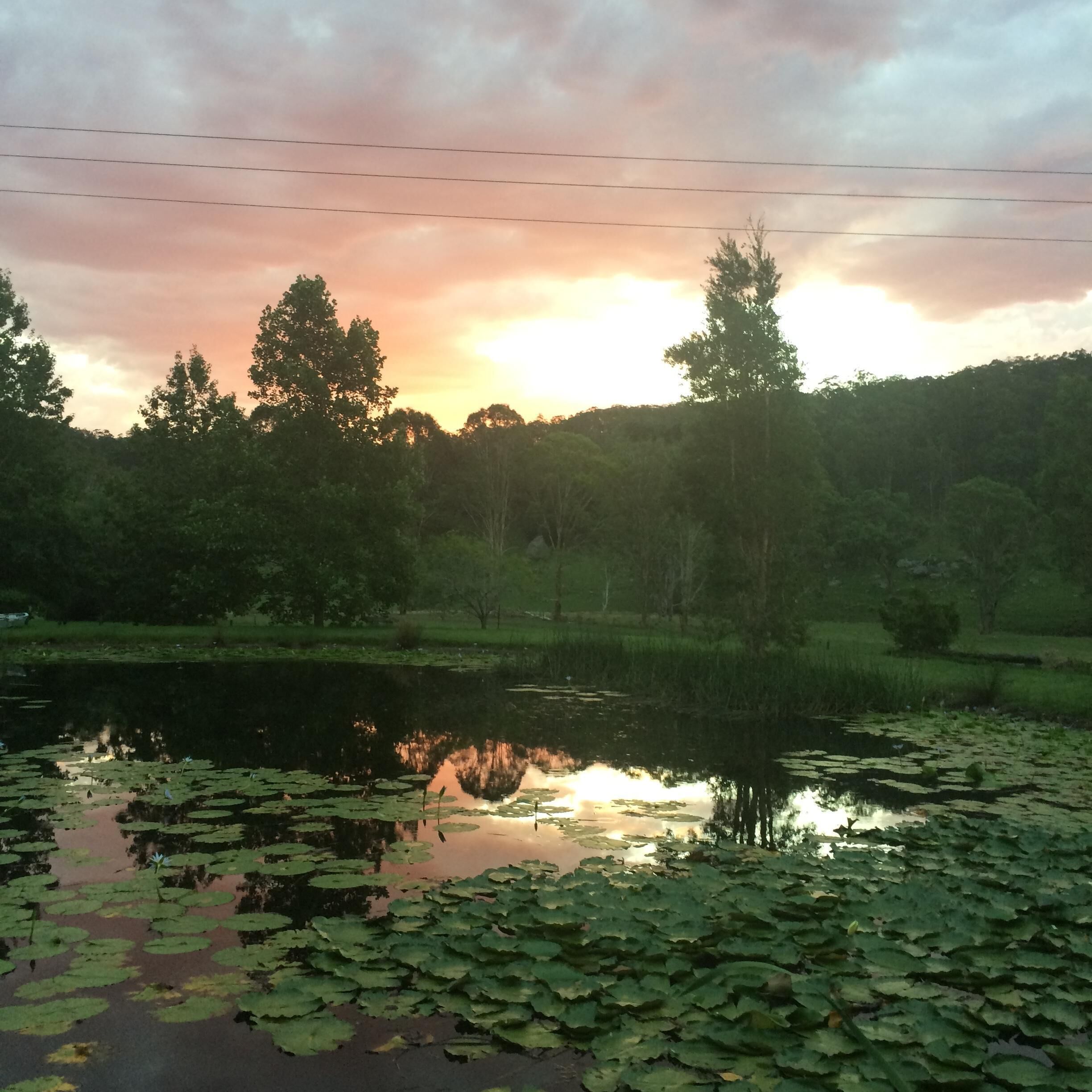 Beautiful cabin for a couple. — image 16