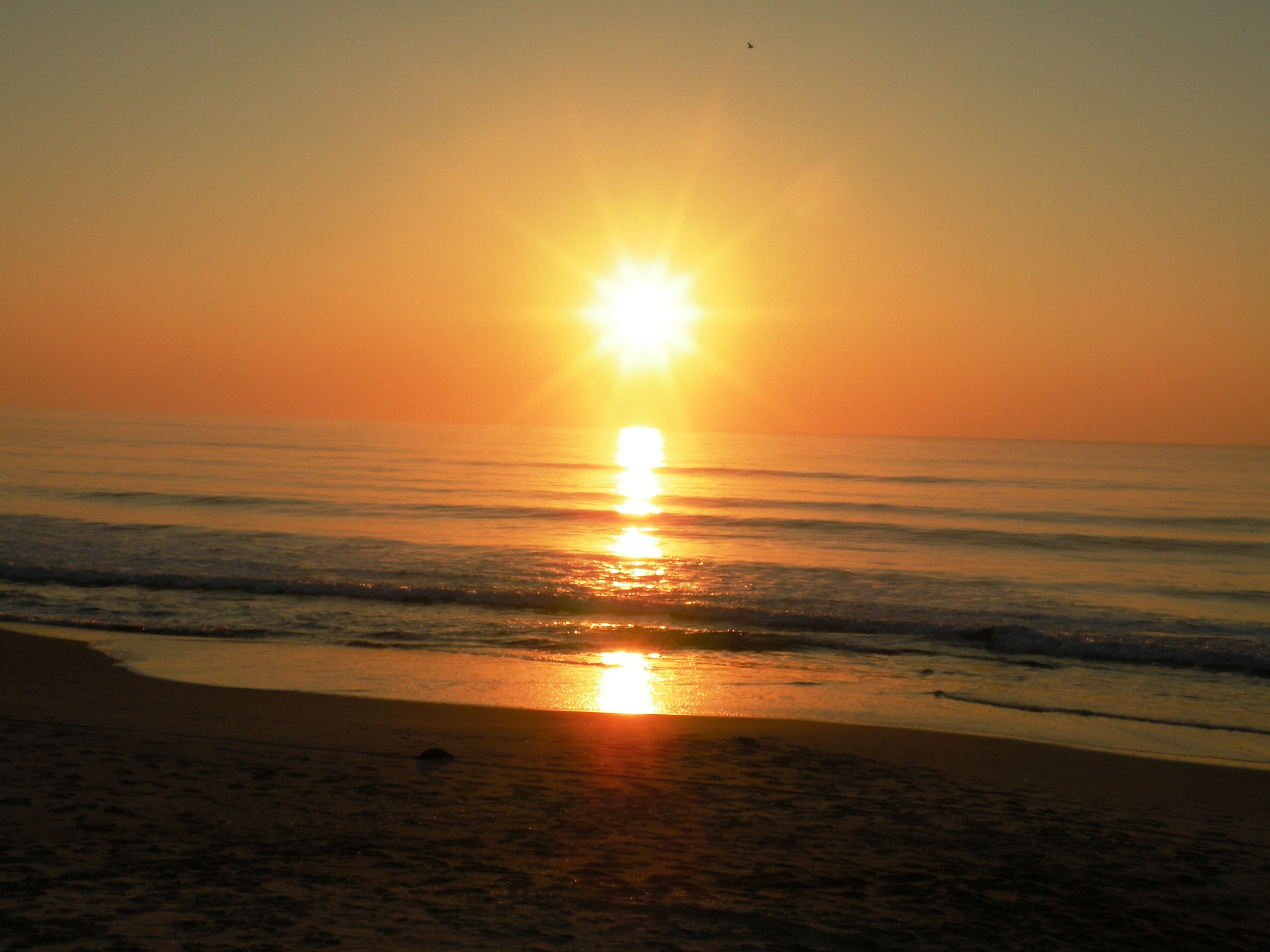 Un coucher de soleil sur une plage, avec des vagues calmes et un ciel dégagé.