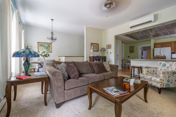 Smart TV, DVD player, books, video library