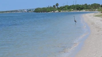 On the beach, sun loungers, beach towels
